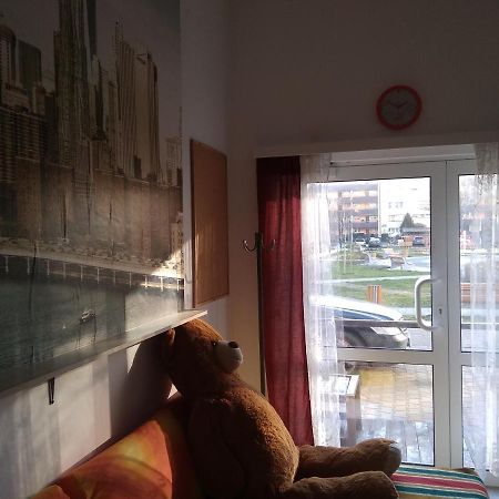 Apartament Przy Parku Noclegi Plock Luaran gambar
